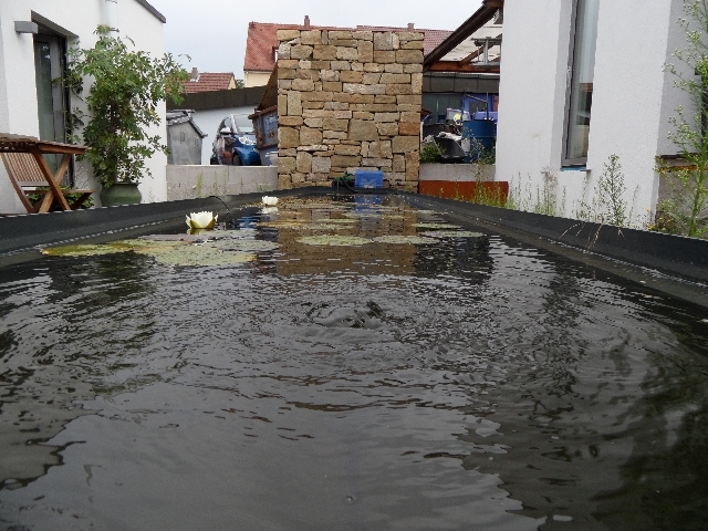 Bildbeschreibung2